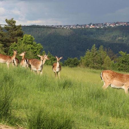 Lovely Apartment In The Black Forest Villingen-Schwenningen Bagian luar foto