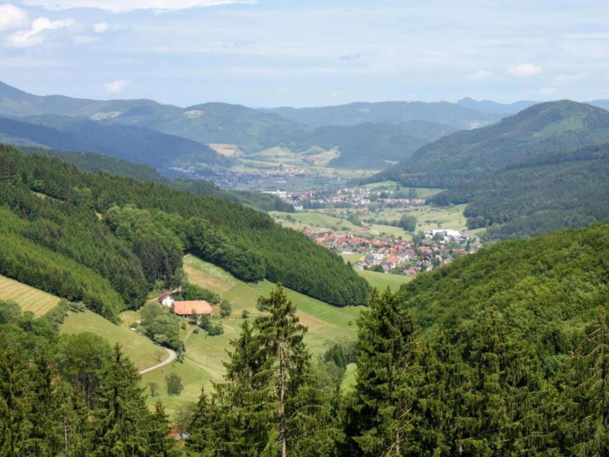 Lovely Apartment In The Black Forest Villingen-Schwenningen Bagian luar foto