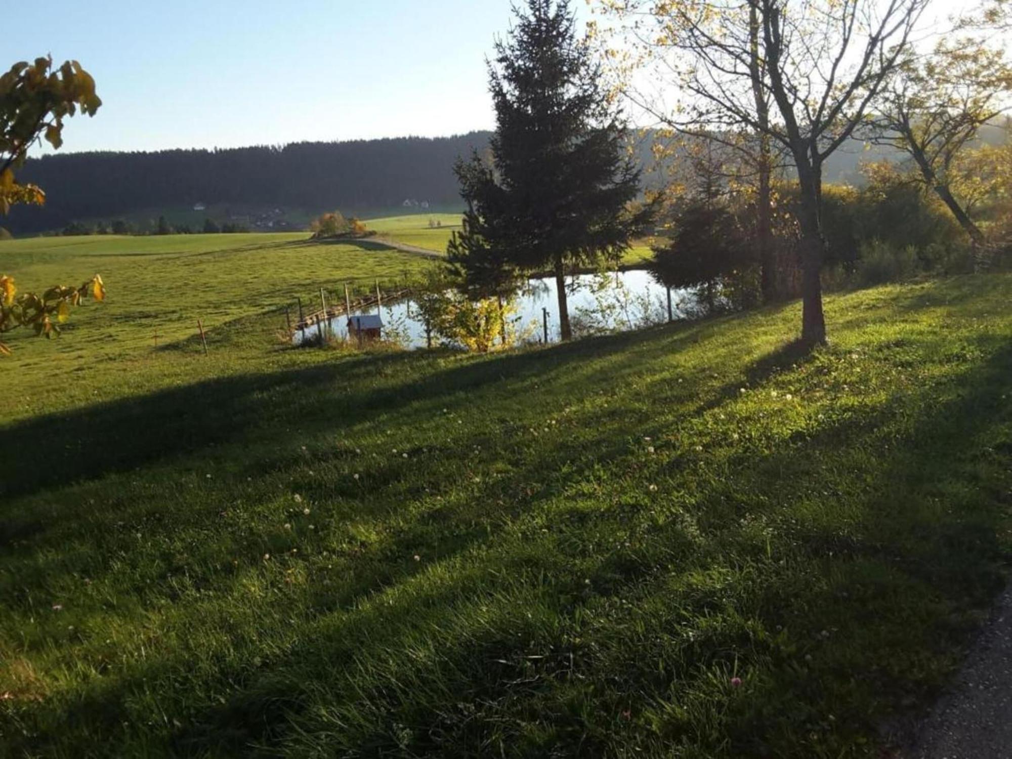 Lovely Apartment In The Black Forest Villingen-Schwenningen Bagian luar foto