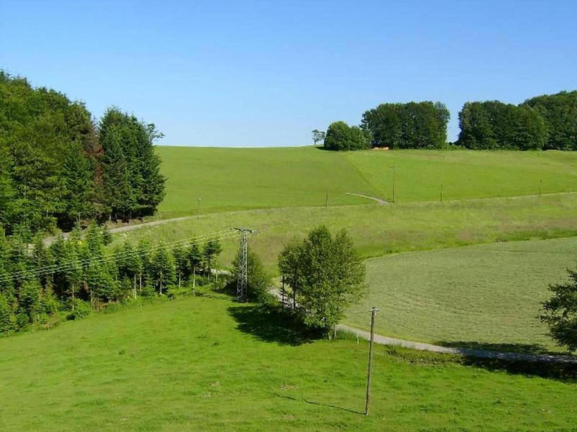 Lovely Apartment In The Black Forest Villingen-Schwenningen Bagian luar foto