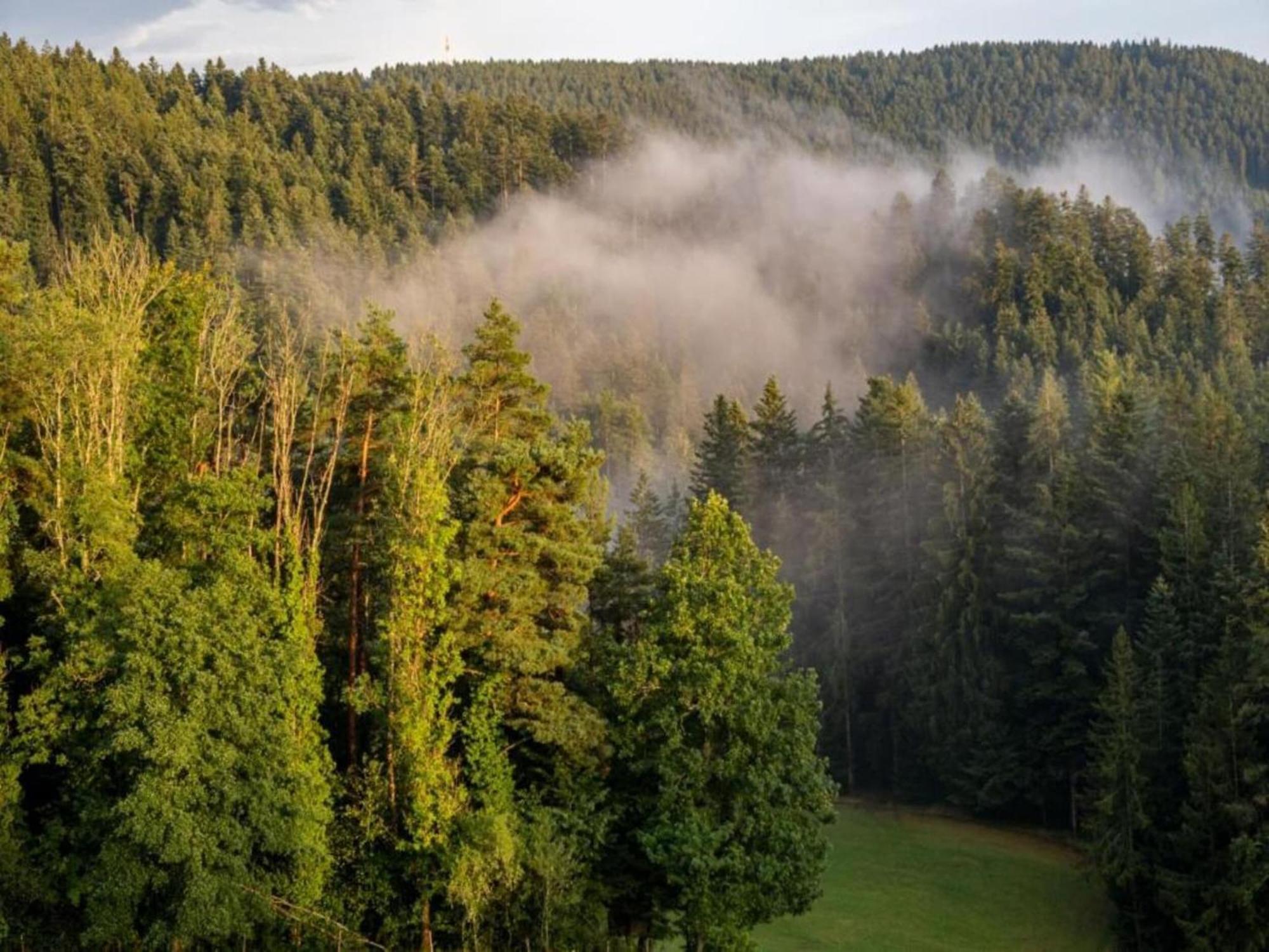 Lovely Apartment In The Black Forest Villingen-Schwenningen Bagian luar foto