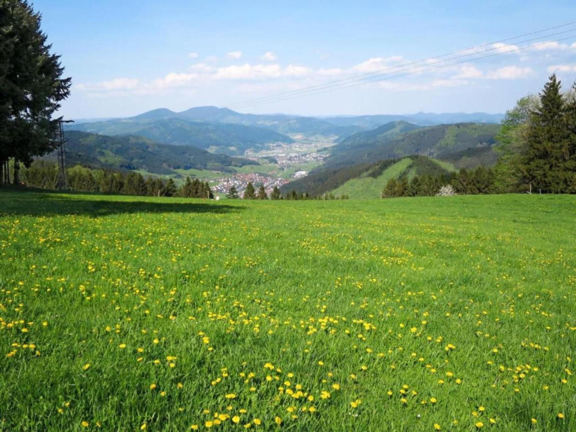 Lovely Apartment In The Black Forest Villingen-Schwenningen Bagian luar foto