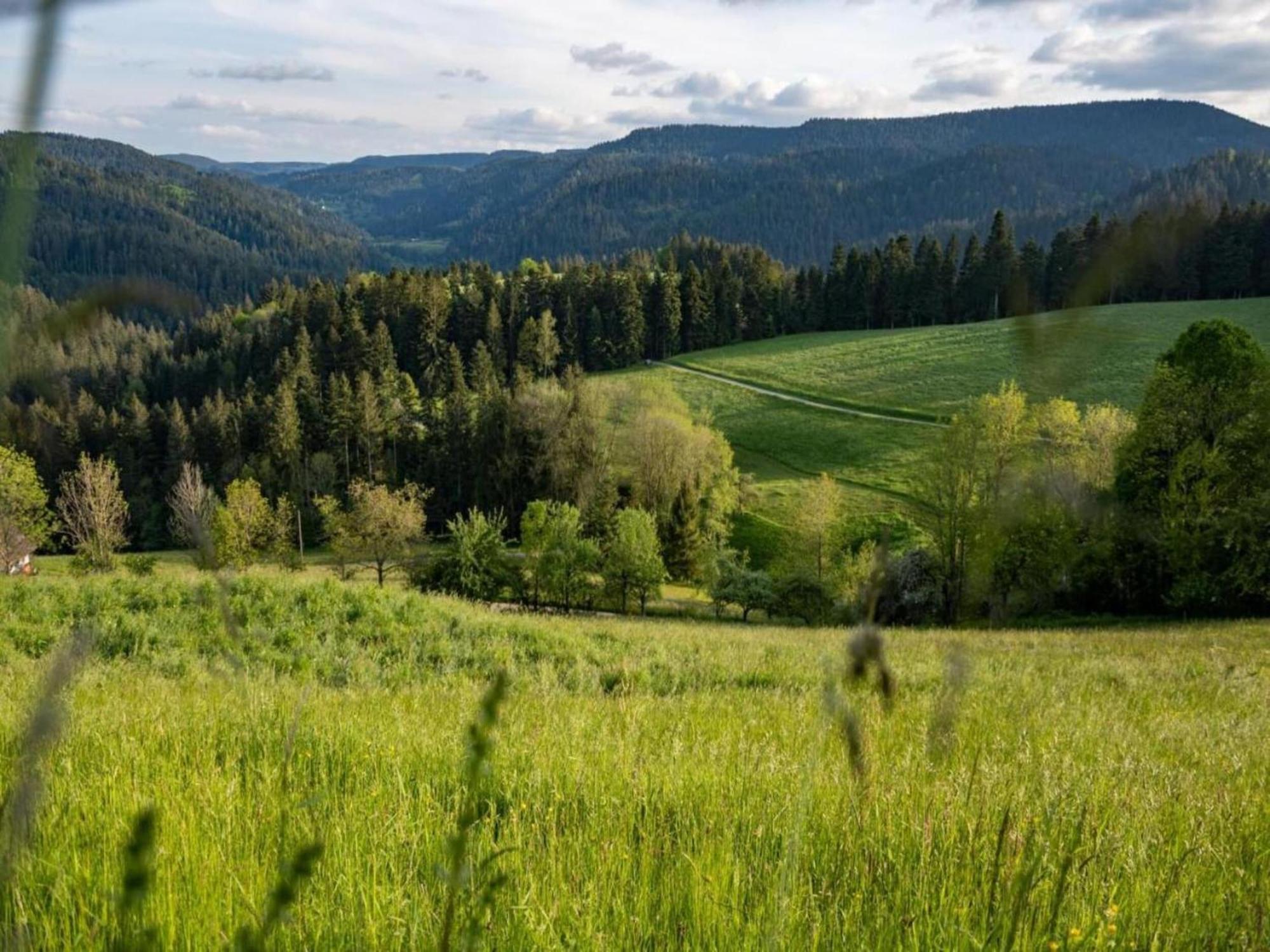 Lovely Apartment In The Black Forest Villingen-Schwenningen Bagian luar foto
