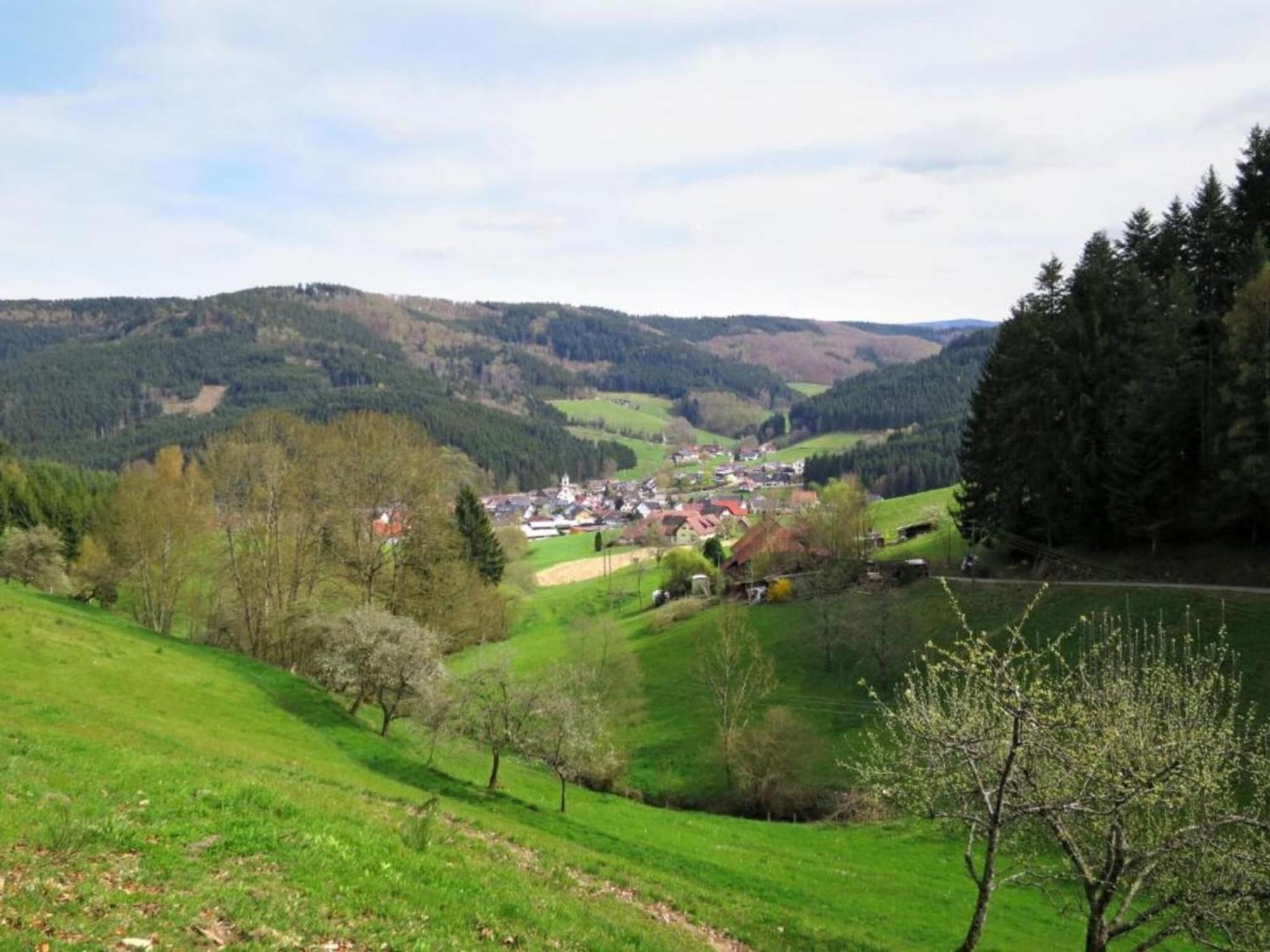 Lovely Apartment In The Black Forest Villingen-Schwenningen Bagian luar foto