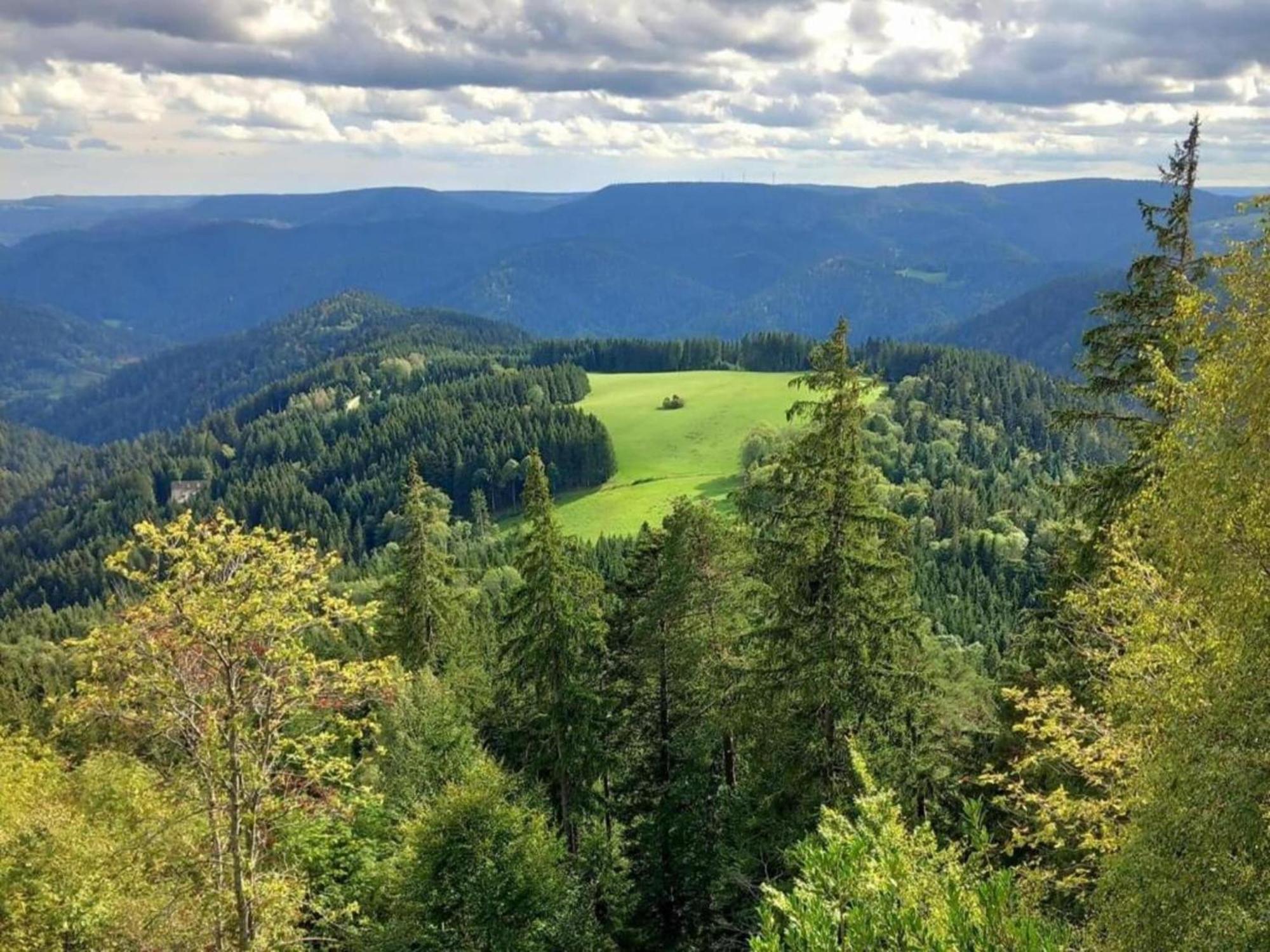 Lovely Apartment In The Black Forest Villingen-Schwenningen Bagian luar foto